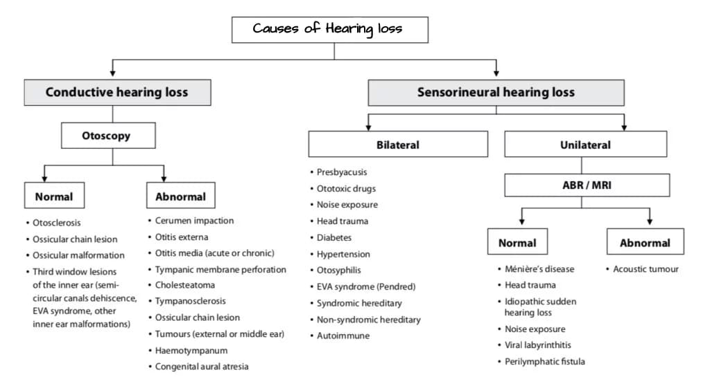 Types of Hearing loss