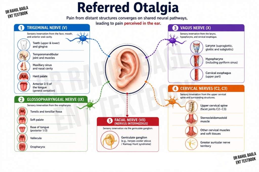 Referred Otalgia Primary Otagia Dr Rahul Bagla ENT Textbook
