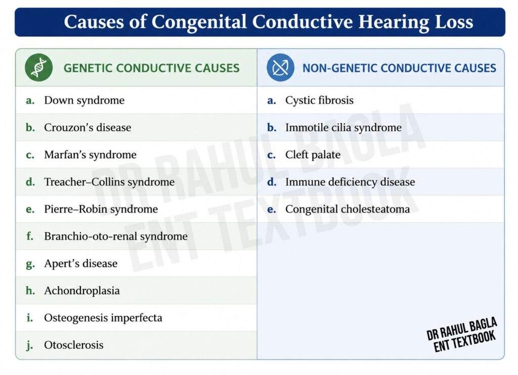 Causes of Congenital Conductive Hearing Loss